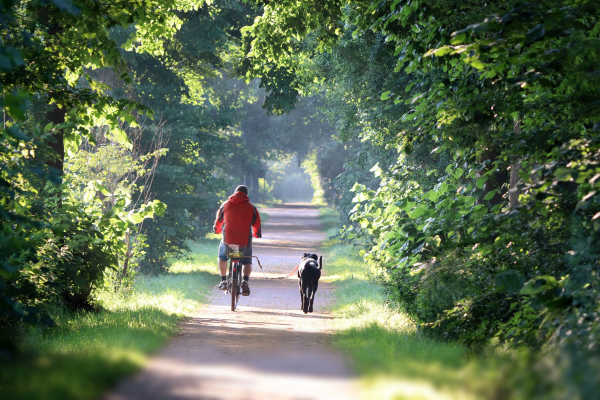 Fahrrad fahren mit Hund