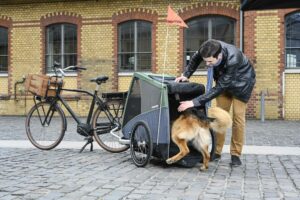 Fahrradfahren mit Hund: Gewöhnung an den Hänger