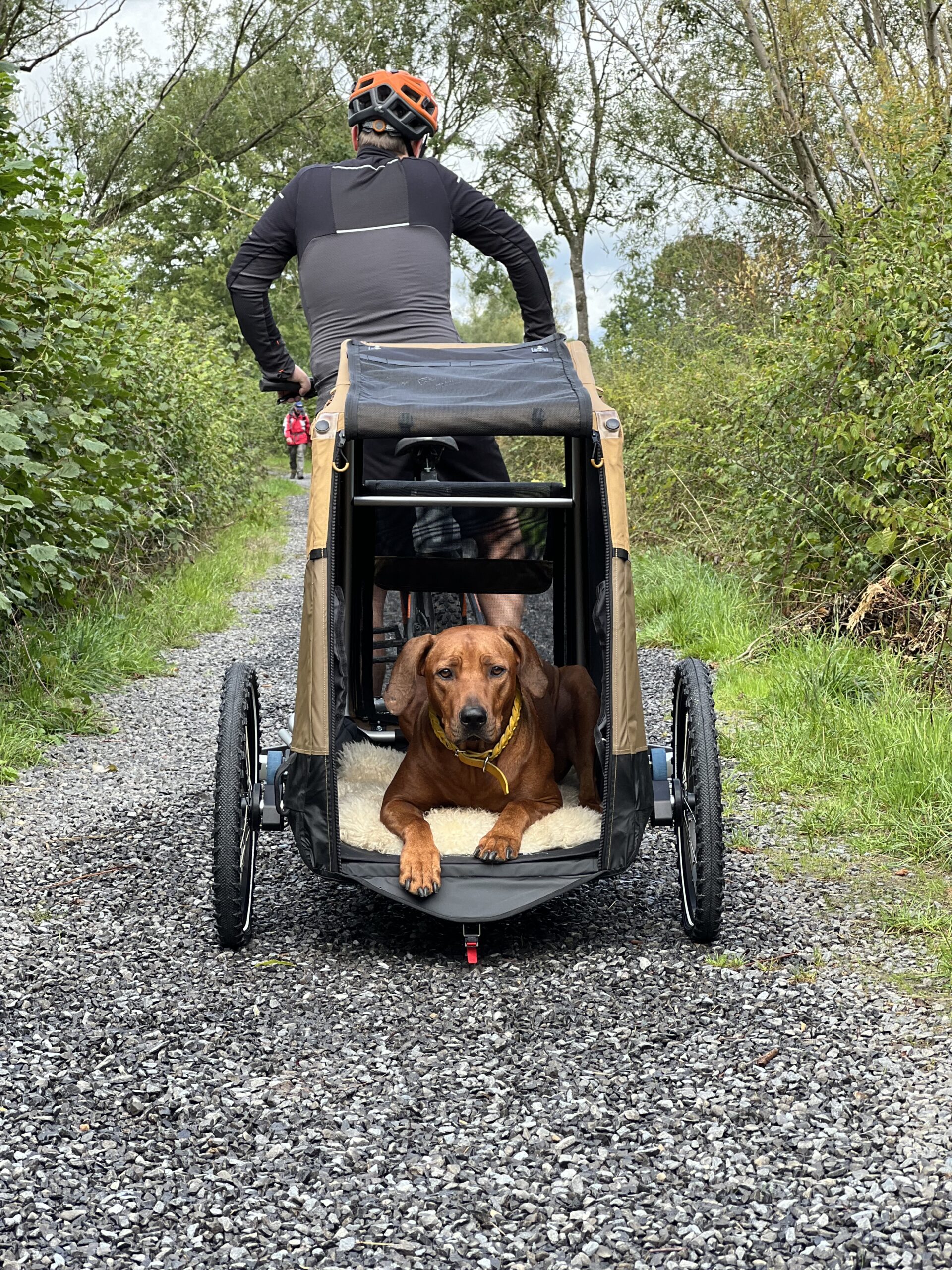 Ein Fahrradanhänger für den Hund. Ob das klappt? - Tipps & Test