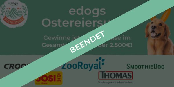 gewinnspiel hund: gewinne jeden Monat tolle Preise