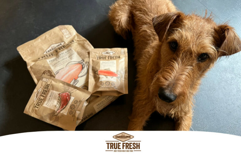 Erfahrungen mit dem Carnilove True Fresh Dog von allco petfood