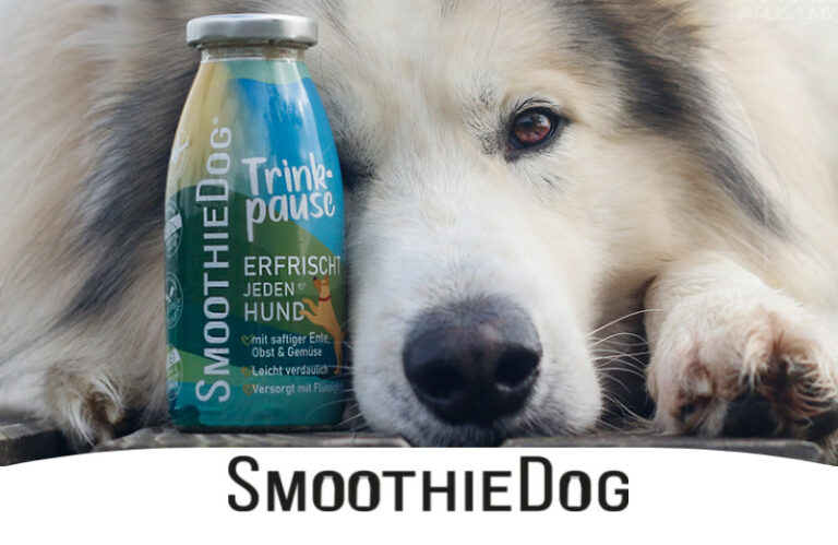 Erfahrungen mit den Hundesmoothies von SmoothieDog