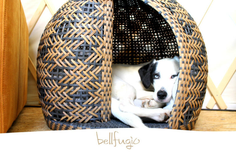 Erfahrungen mit dem Hundekorb von Bellfugio