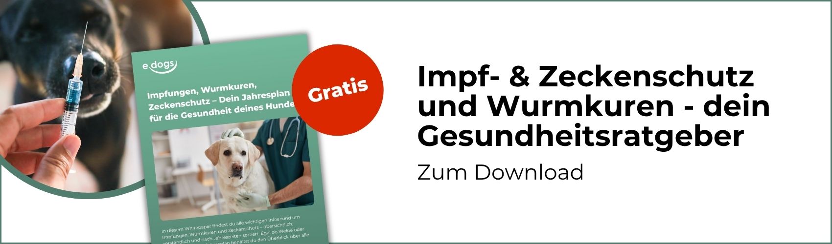 Zeckenschutz beim Hund