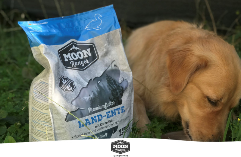 Moon Ranger Hundefutter Test | edogs Magazin