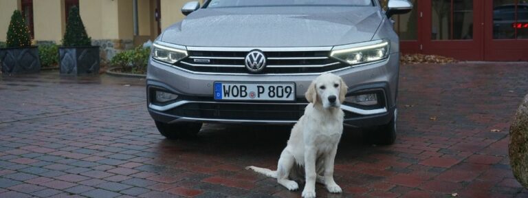 Erfahrungen mit dem VW Passat Alltrack – Das optimale Auto für Deinen Hund