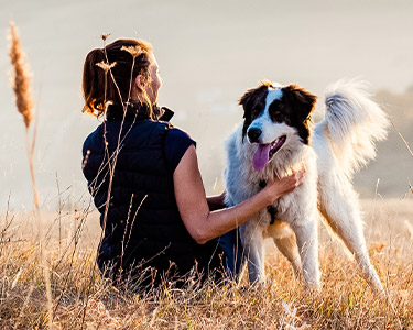 Tierarzt24 edogs: Frau mit Hund