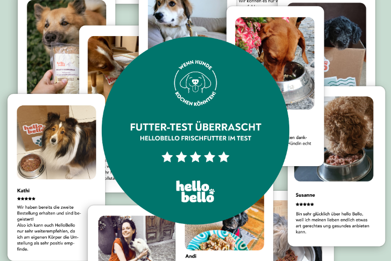 hundebett mit decke Rundes Fleece-Hundebett mit Rainbow Velvet-Decke  Dog Moda