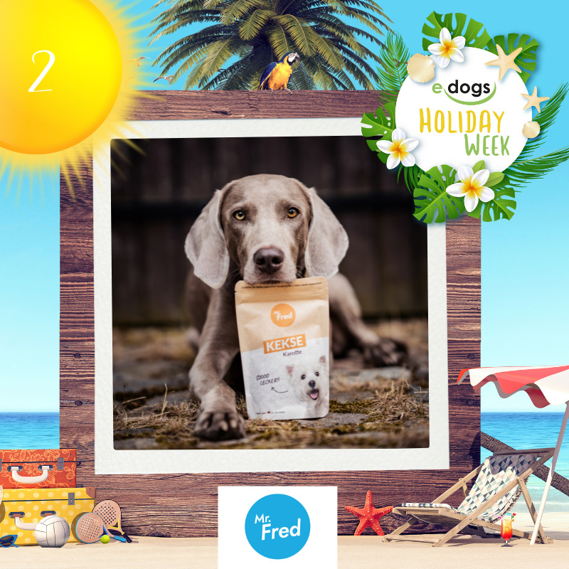 Holiday Week Türchen edogs IG & FB (1)