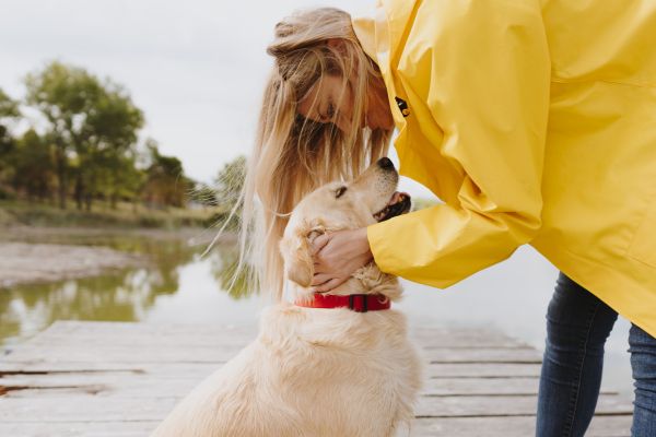 Heller Hund mit Frau in gelbem Regenmantel auf einem Steg.