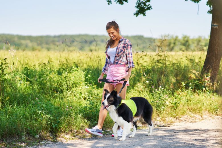 Wie oft muss ein Hund raus? I edogs Magazin
