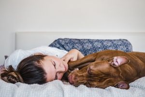 Hund im Bett schlafen: Hund im Bett