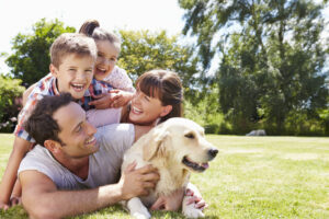 Hund mit Familie