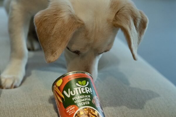 Hund vegan ernähren