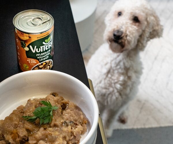 Hund vegan ernähren