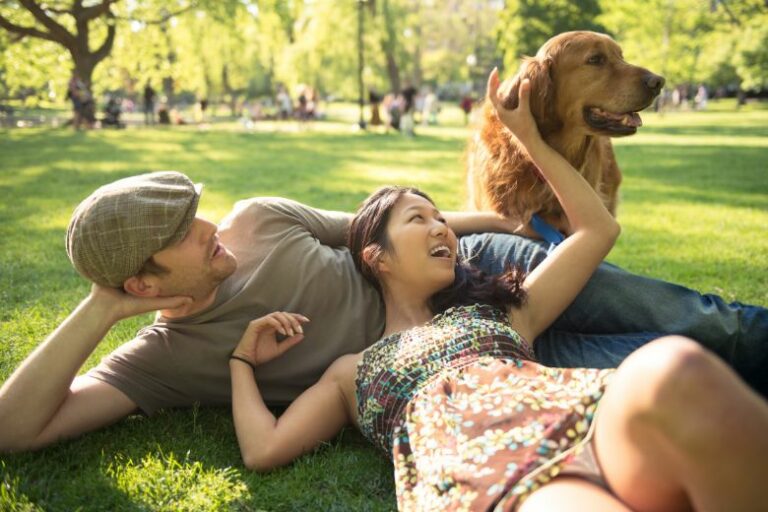 5 Gründe, warum Hundebesitzer die richtigen Partner sein können