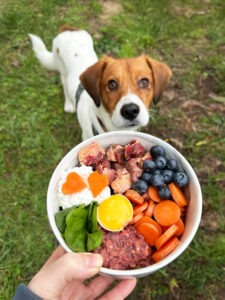 Hundefutter