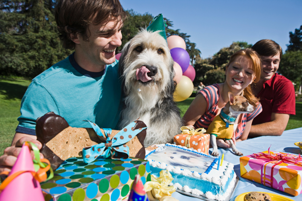 Hundegeburtstag