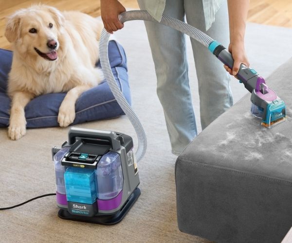 Hundehaare entfernen: Sofa mit vielen Hundehaaren wird abgesaugt