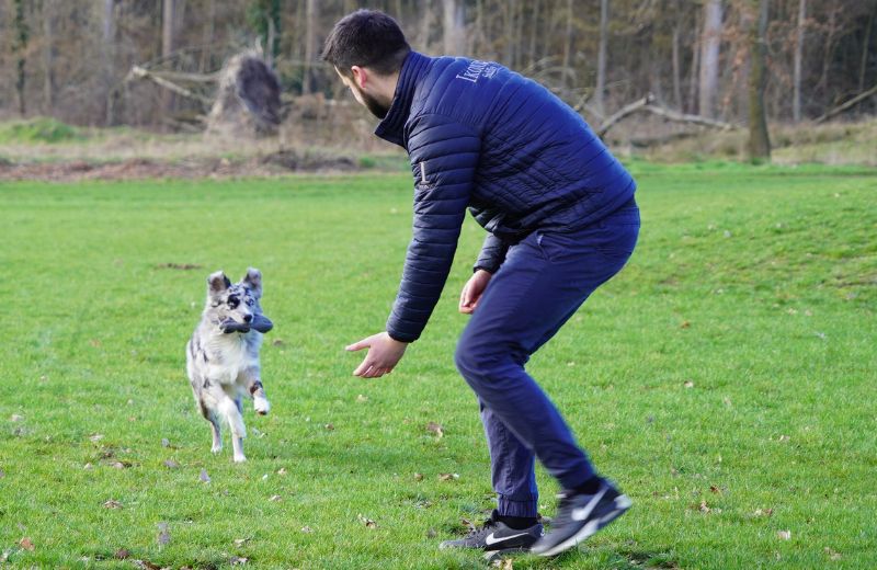 Hunderassen: Hund läuft auf Herrchen zu