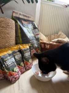 IMG_1223 (1)
