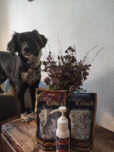 Hund steht vor den Leckerlis von Henne Pet Food