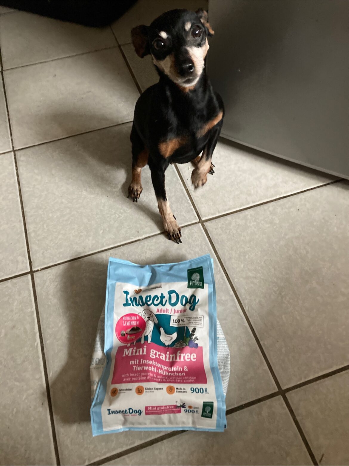 Green Petfood Test edogs Magazin