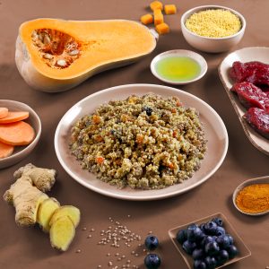 edogs Produkt des Monats: Hundefutter von Howly Bowly