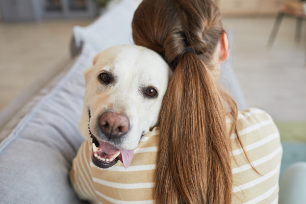 Körpersignale Hund