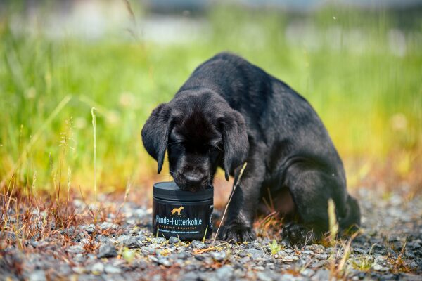 Kohletabletten Hund: Futterkohle von CharLine