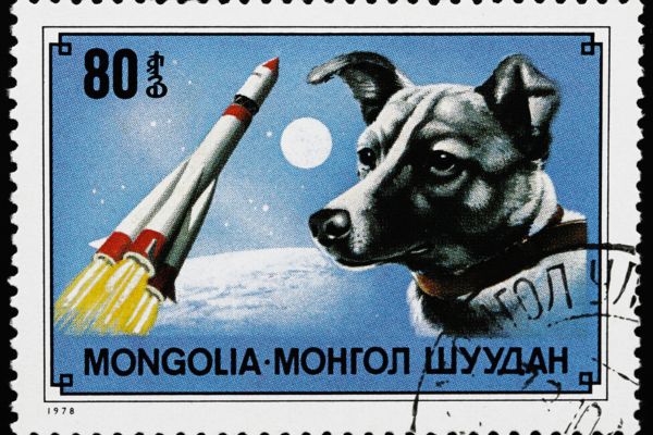 Berühmte Hunde: Briefmarke mit Laika und einer Rakete.