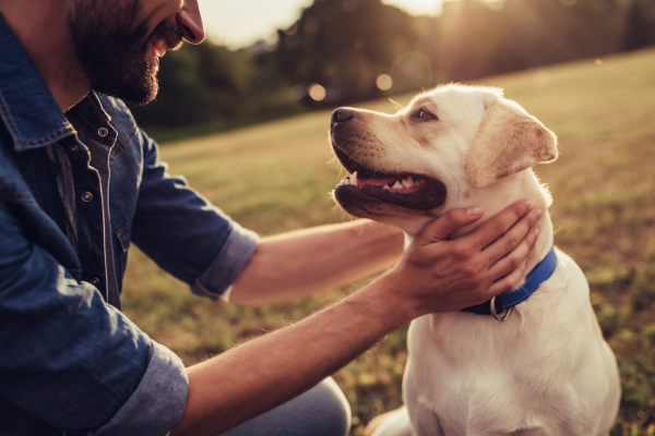 Männliche Hundenamen: Hund schaut Herrchen an
