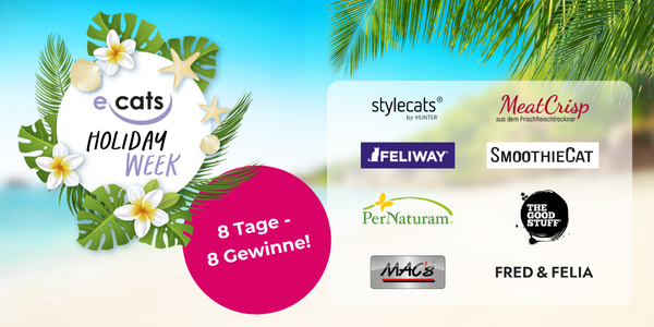 ecats Holiday Week: Gewinne Preise im Gesamtwert von 1500€