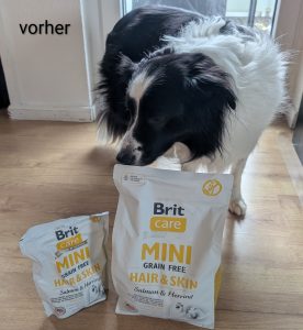 Erfahrungen mit Brit Care Mini: Testhund Donna schnüffelt an Hundefutterpaket
