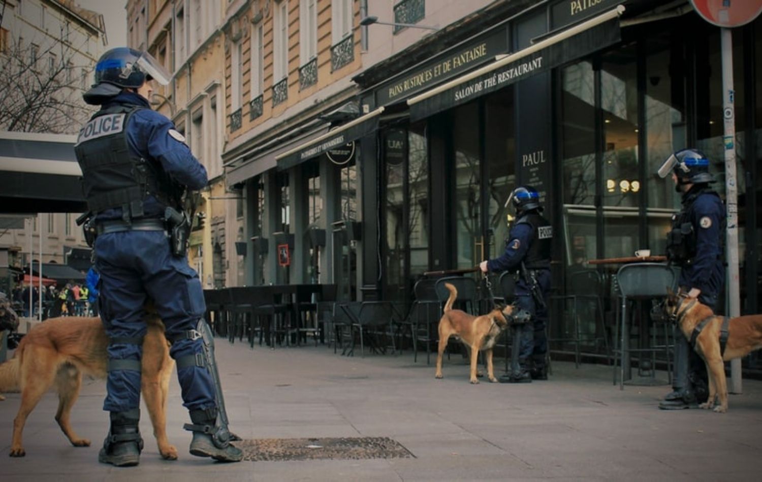 Polizeihunde im Einsatz