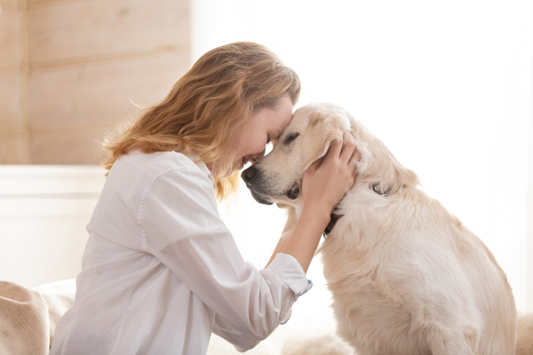 Streichelzone Hund
