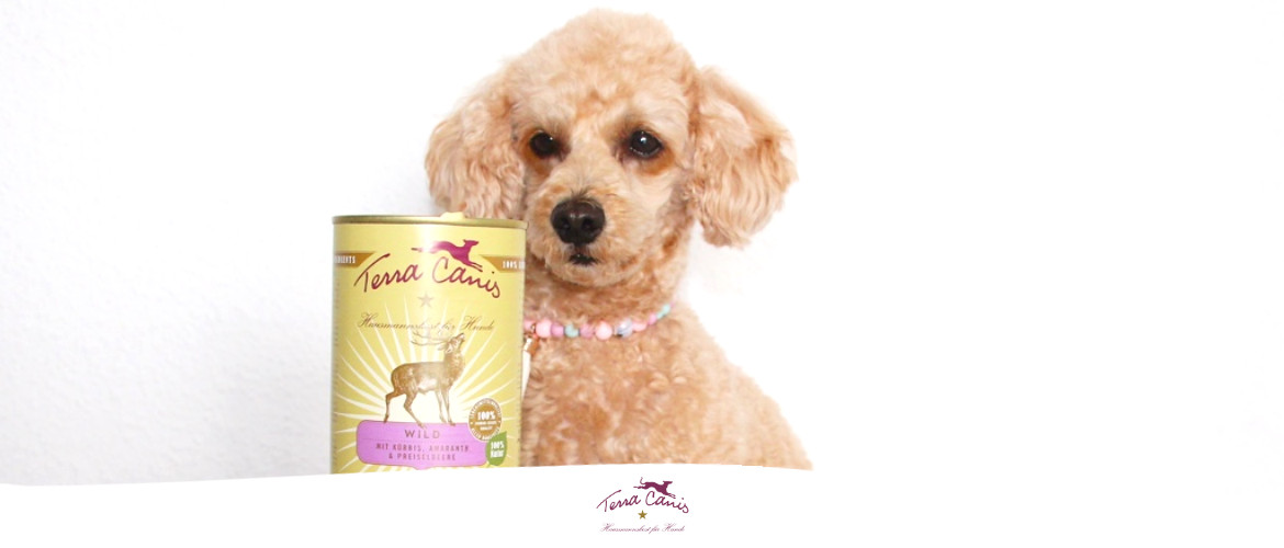 Terra Canis Nassfutter Test | edogs Magazin