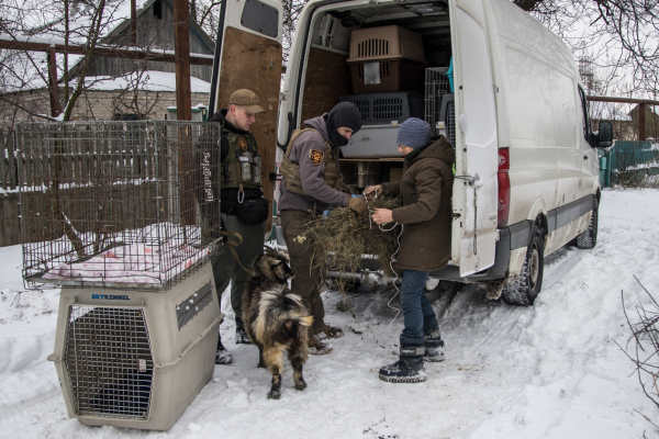 Tiernothilfe in der Ukraine (2)