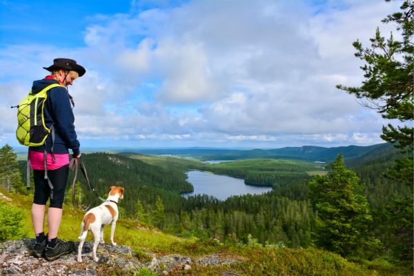 Wandern mit Hund - Hund und Mensch blicken auf See in der Ferne.