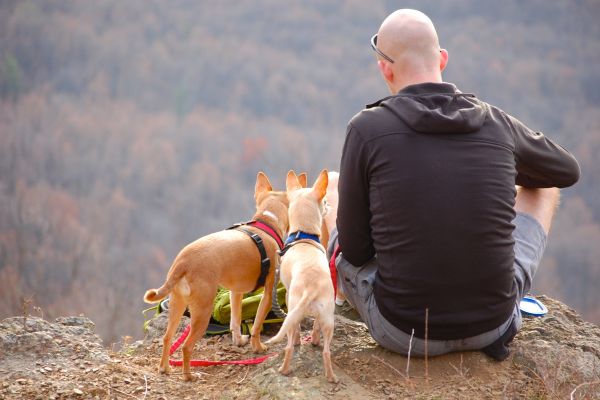 Wandern mit Hund - Hunde und Besitzer sitzen auf Felsvorsprung