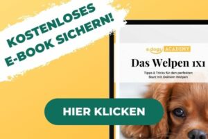 Welpenratgeber E-Book