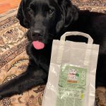 Erfahrungen mit dem Futter von VegDog