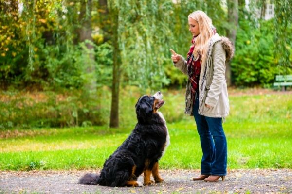 Abbruchsignal Hund: Frau und Hund im Park