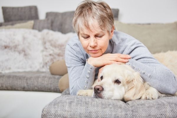 Alter Hund mit Mensch