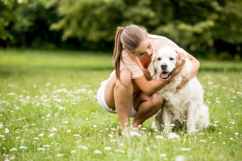 Hunde Rassern Anhängliche Hunderassen von A bis Z mit Bildern | edogs Magazin