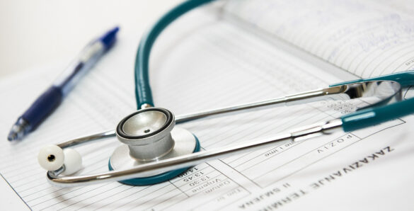 Hundebiss und was Du danach tun solltest - edogs