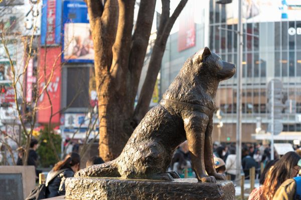 Berühmte Hunde: Statue von Hachiko