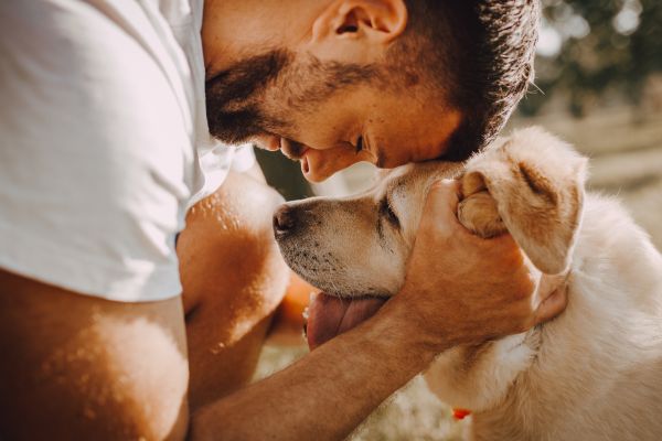 Beziehungskiller Hund: Mann und Labrador Stirn an Stirn