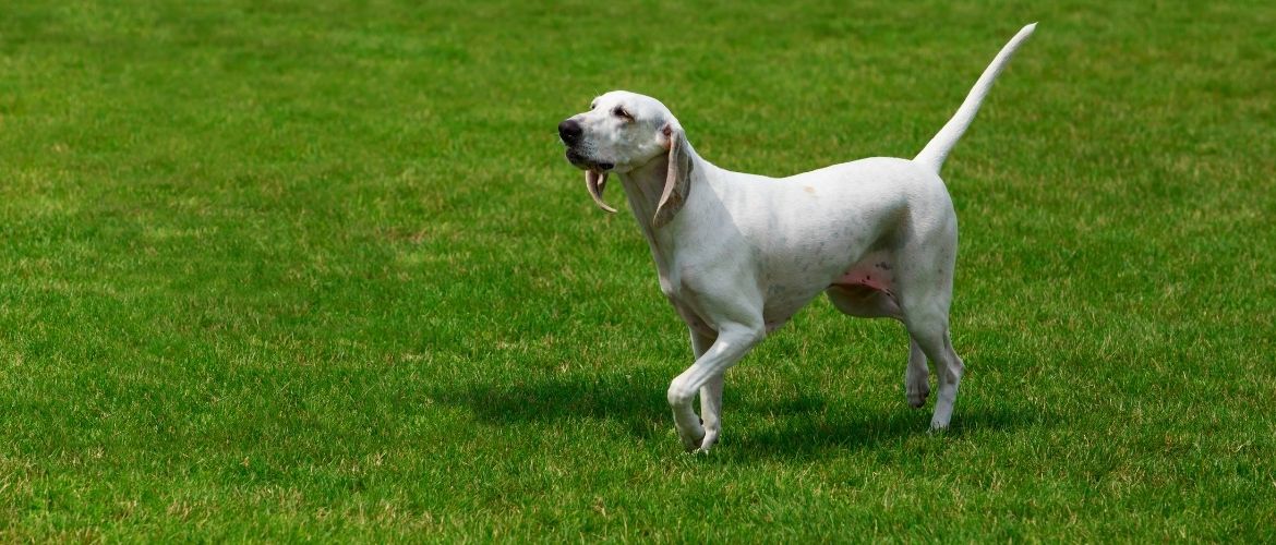 Billy Steckbrief, Charakter, Wesen und Haltung