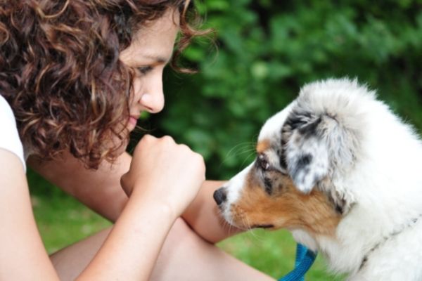 Bindung zum Hund aufbauen: Frau und Welpe draußen